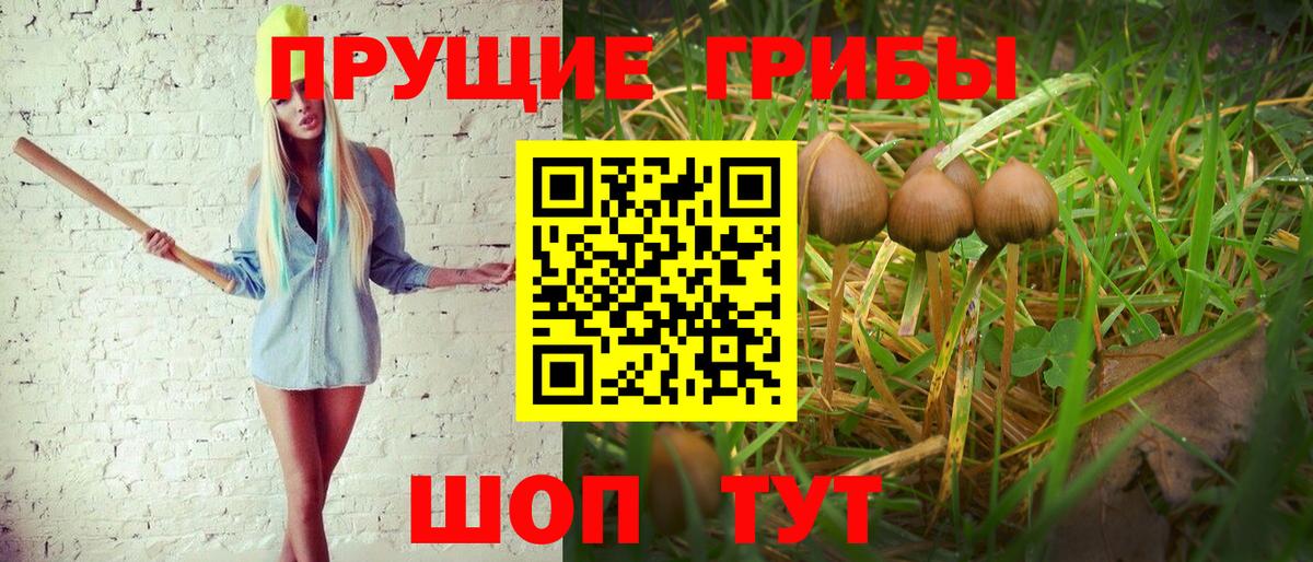 Галлюциногенные грибы мухоморы Геленджик